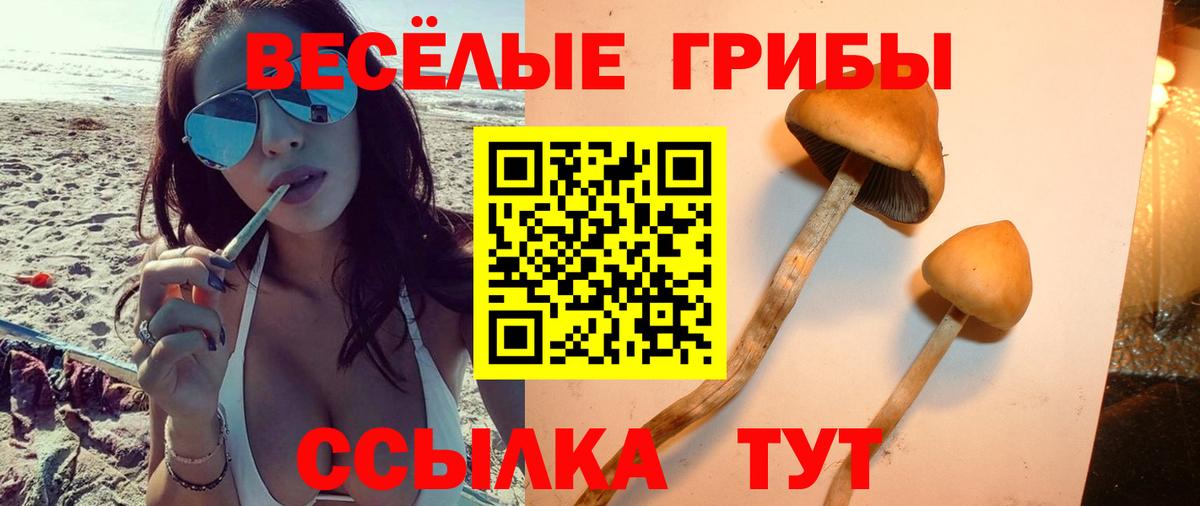 Галлюциногенные грибы мицелий  Вход с VPN  Людиново  где купить наркоту  Псилоцибиновые грибы Magic Shrooms 